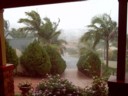 Free storm
