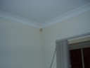 During a 2 hour blackout, the security sensors were still going
