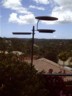 New bird feeder