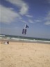 Surf's up dude