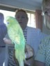 Nana checks out the bird