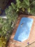 The pool