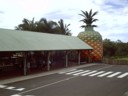 Yeah, that's a pretty big pineapple i guess