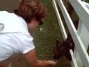 Trui and a animal