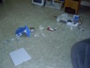 The leechbox is once again ripped up