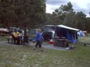 The site