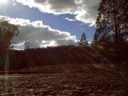 Nice day for a walk