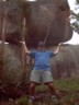 Dad does a Hulk impression