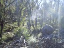 Ix and I venture off the beaten track