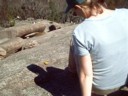 Megan rescues my easter egg