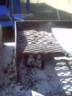 The ash for last nights fire