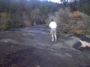 Dad spots something to crush