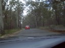 Following Megan