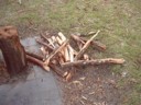 After much effort, some more wood for fire