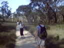 Small walk to a water hole