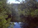 The water hole