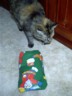 Sushi checks out her pressie.