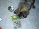 Mmmmm, tiny dried fish things.
