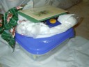 My syster gets a first aid kit.