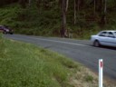 Where it happened at Mt Tamborine