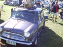 Megan's fav looking mini