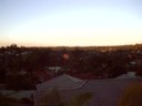 A kewl orange tree in the sunset