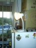 Let there be (reading) light