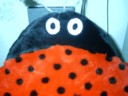 ThCebR  <a href=