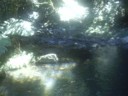 U4R81h  <a href=