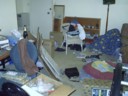 Before Katie can move, she has to first make as big a mess as she can. It's in the constitution.