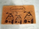 Welcome.