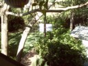 My backyard. I never go there, it has fresh air and the sun.