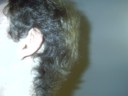 Kewn's actual ear!!!!