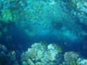``