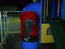 Froggy's Ass.(com.)