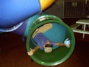 Digi mistook the slide for another alcove and fell down it head first.