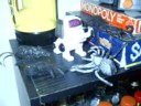 Oh no! Stay is surrounded! [.... To Be Continued]