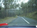 Curvy roads.