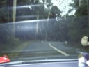 Now you see bushlands.