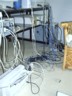 Cut the blue cable to defuse the bomb.
