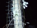Or so I heard thru the grapevine.