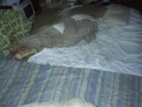 Draxys brothers try and hide from camera