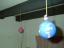 Crazy water balloons