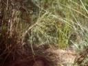 My foot on edge of cliff (Part 1)