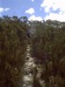 Thats not a path, thats a creek