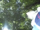 I think the trees were taller