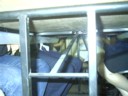 Under the table hardcore action