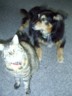 Sushi and Oscar