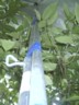 My uberpole