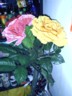 Big-arsed flowers